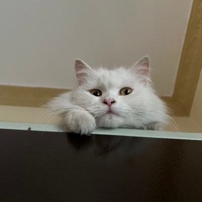 zxcodes's profile picture. Software Engineer. I occasionally write and take pictures when I’m out https://t.co/ZMNN2CY09L.