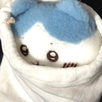 cqmi (@bloowbrrie) 's Twitter Profile