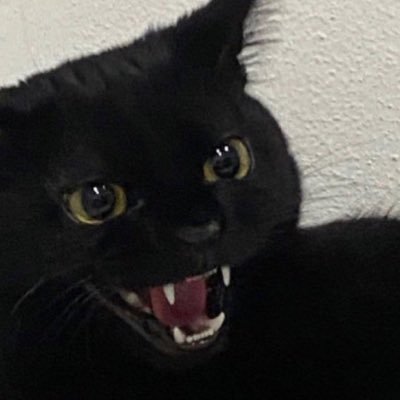 dr. gojo catoruさんのプロフィール画像