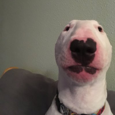 LargeEgo Profile