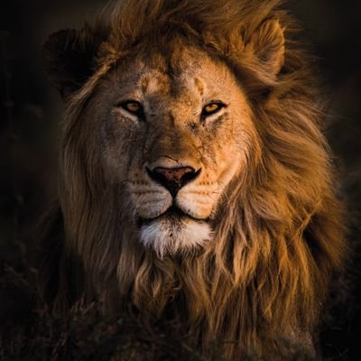 JhonBrown94's profile picture. Long term in $HITI , $GME , $DLO, $BMNR, $RKLB, $NBIS & $HIMS . $HITI is my biggest position.
I believe in innovation as the foundation for future success