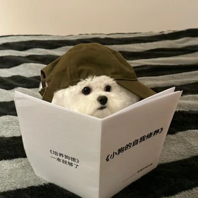 mianmian_pin's profile picture. 颜性恋|4i&3i|enfp|喜欢女孩子都来和我贴贴