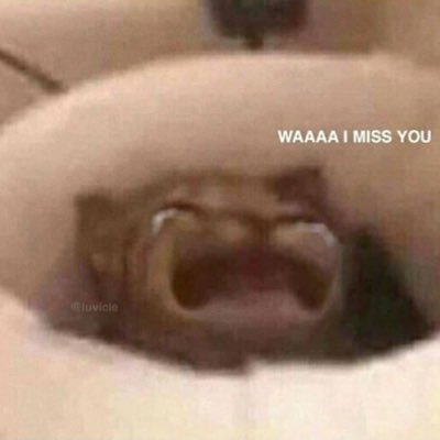 tsopamon's profile picture. main acc @tksopam 📦#rvtksopam