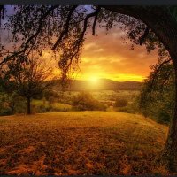 sun light (@sunlight1027) 's Twitter Profile