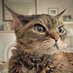 Tomasina Molto (@tmsfleming) Twitter profile photo Tomasina Molto (@tmsfleming) Twitter profile photo