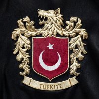 Cem (@cgcemgumus) 's Twitter Profile Photo Cem (@cgcemgumus) 's Twitter Profile Photo