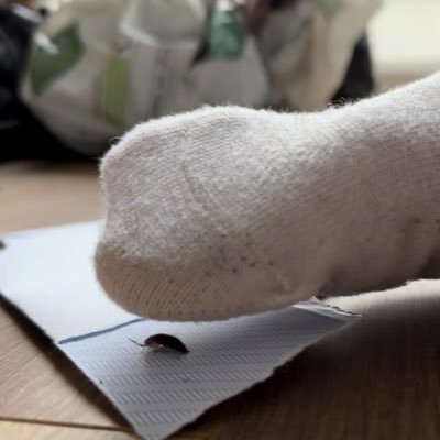 5_farcry's profile picture. All things socks 🧦