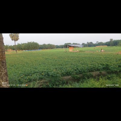 NazneeParw28677's profile picture. Alhamdulillah ❤️