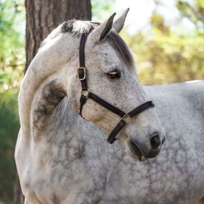 WE78602997's profile picture. 