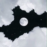 عبدالله 💮 (@abdullah_68686) Twitter profile photo