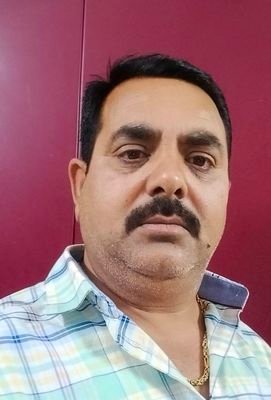 RamanSh53124079's profile picture. 