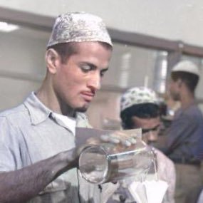 Ibn_reality's profile picture. @Harvard | Tech, Science, Econ  - RT ≠ Endorsement