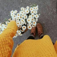 💛 (@llshll1i2) 's Twitter Profile