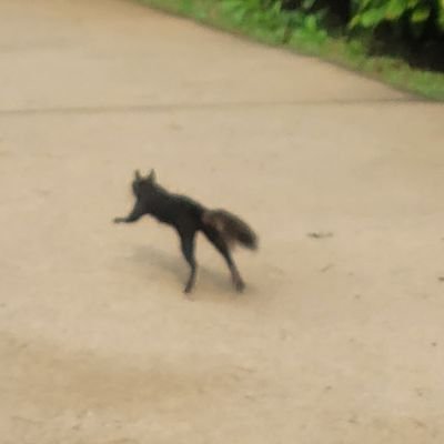 10년생
잡덕계(프리티 시리즈, 아이나나, 파라라이 등등) 저랑 트친이 되시면 당장 저랑 결혼하러가셔야합니다😏