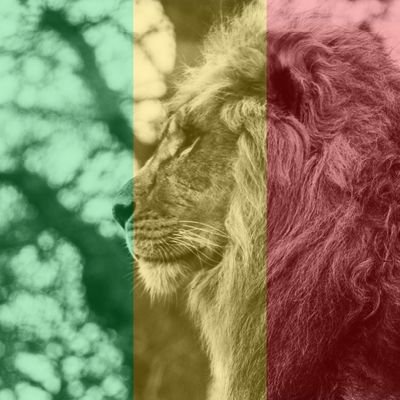 Ayons toujours foi en l'Honneur et la Dignité du Grand Peuple Malien ✊🏿🇲🇱🦅 Vive l'AES !