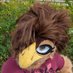 Harven Cosset (@harvencosset) Twitter profile photo