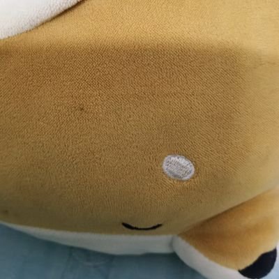 ying179082's profile picture. I just love them