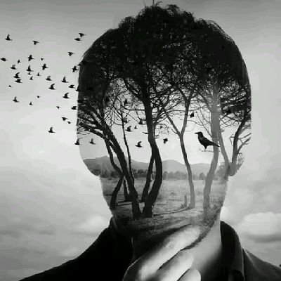 حروفٌ لها صوت Profile