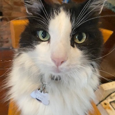 Coby Profile