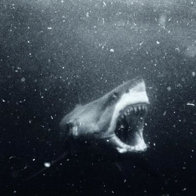 yoooshiimiii's profile picture.