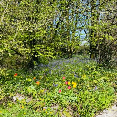 BreegeBreegie's profile picture. all views are my own