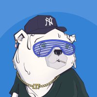 Obiz (@0xjackerman) 's Twitter Profile