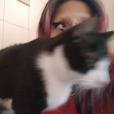 com quem eu tenho que falar pra ter um patrocínio de Monster?