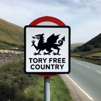 Amanda Peters (@abergirl2011) 's Twitter Profile Photo