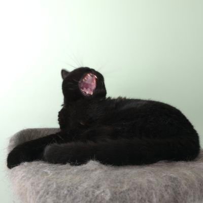 ItsHarryB_'s profile picture. “If you're here, who's guarding Hades?”
@harryb1.bsky.social