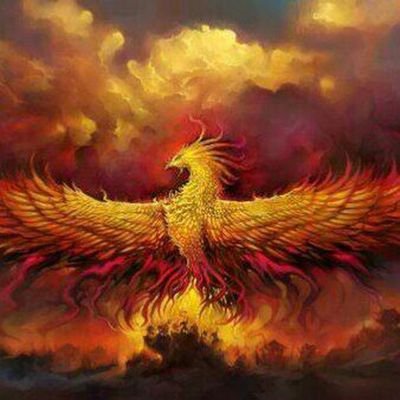 bccbeedef92a416's profile picture. ققنوس م برخاسته از خاکستر خویش
