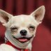 Fart dog (@backerm2) Twitter profile photo Fart dog (@backerm2) Twitter profile photo