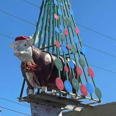 Kristinsplash's profile picture. Just a girl that loves animals, military jets, NHL, NFL, NASCAR, and science