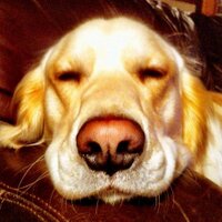Steven Higgins (@higgysteve) 's Twitter Profile