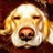 higgysteve's profile image