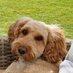 teddy (@lathamphil1) Twitter profile photo teddy (@lathamphil1) Twitter profile photo