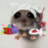 BIOS (@bios_1986) 's Twitter Profile Photo BIOS (@bios_1986) 's Twitter Profile Photo