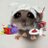 BIOS 🐹🎻 avatar