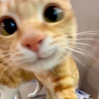 hi🫧 (@lmcmyk) Twitter profile photo