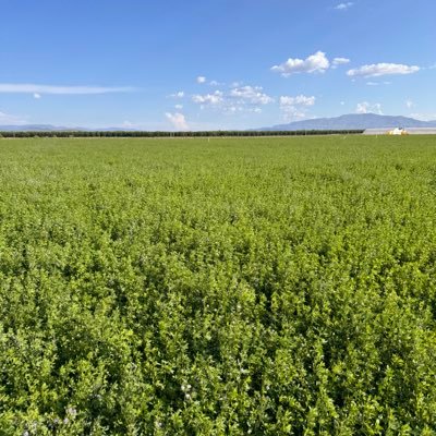 “Todo se Torea” y más la Vida Instragram @roger_casillas @Vinalcazar Agricultor 🍅 🥒🍇🍷
