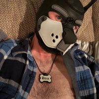 Pup Rex (@thepup_rex) 's Twitter Profile
