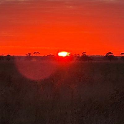 GarryMa91450179's profile picture. 