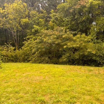 WhereIsK24's profile picture. ⛈️