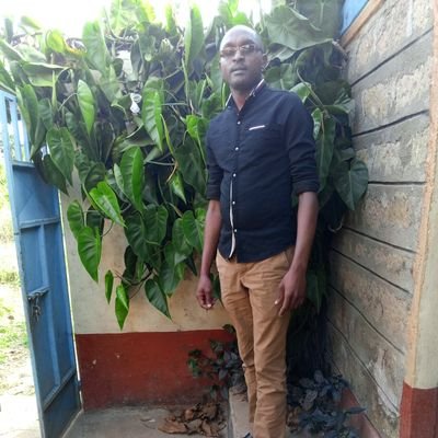 CollinsKit8953's profile picture. 