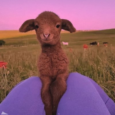 _nkemmm's profile picture. Capricorn 💕