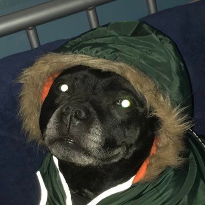 J_Dt11's profile picture. 