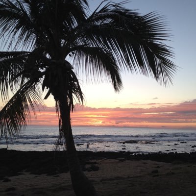 bigt6662006's profile picture. thrash or be thrashed