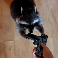 sci-fi panda guy (@phyrexianpanda) 's Twitter Profile