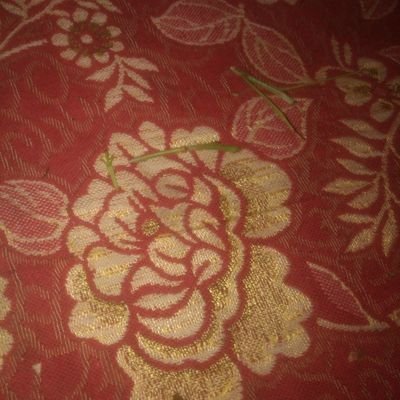 GettingInvolved's profile picture. 