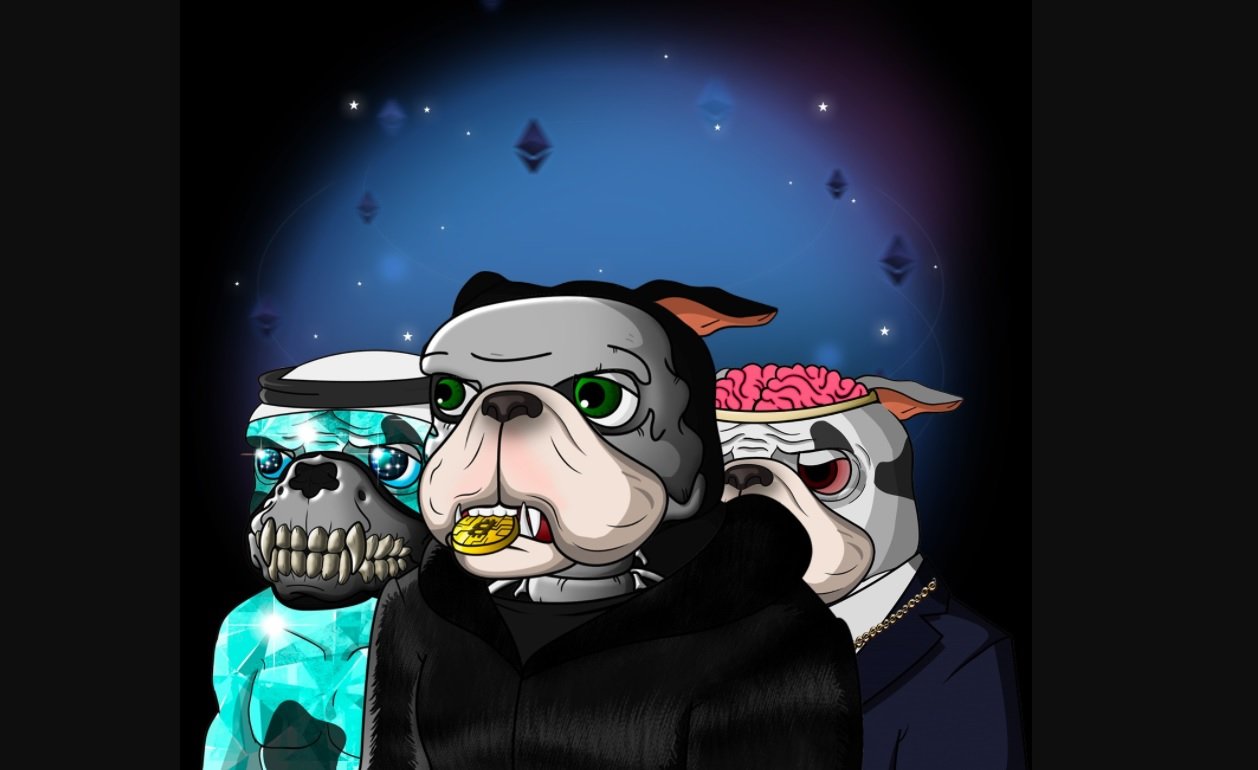 YennyFeliz's profile picture. 