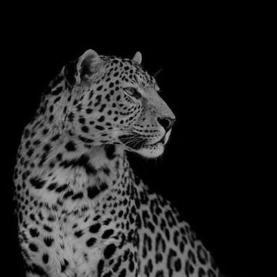 shemino_59's profile picture. 